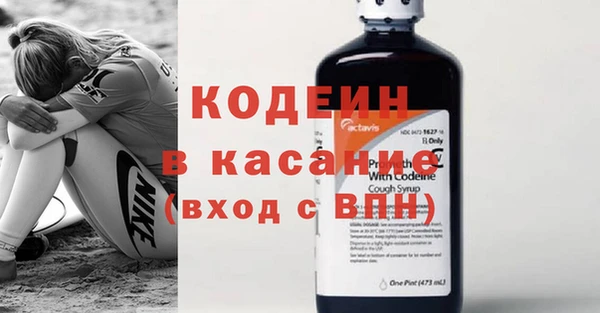 прущие грибы Арсеньев