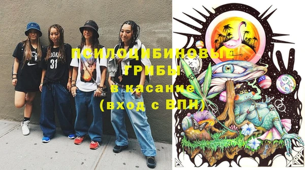 прущие грибы Арсеньев