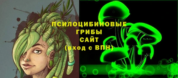 ешки Аркадак