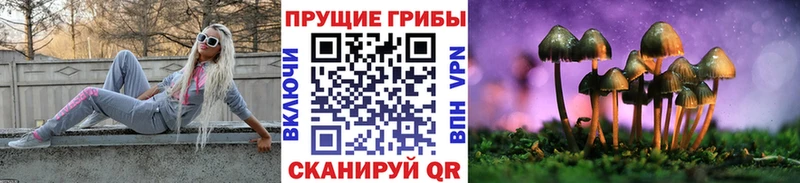 Псилоцибиновые грибы Magic Shrooms  Завитинск 